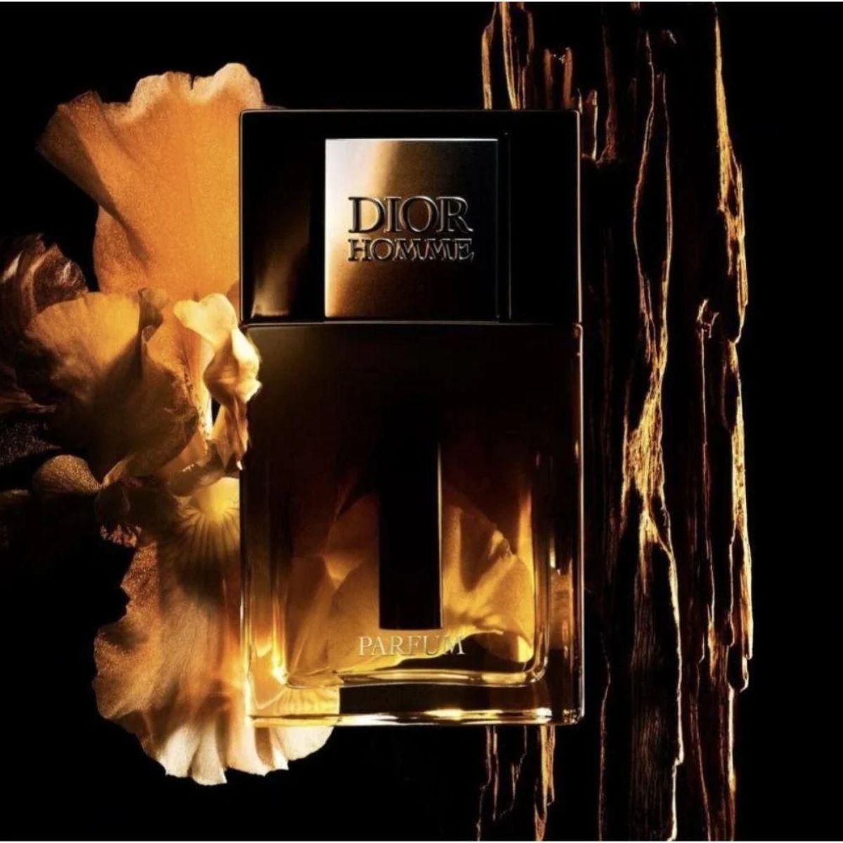 عطر ديور هوم بارفيوم إصدار 2025 – Dior Homme Parfum (2025 Edition) 75 مل